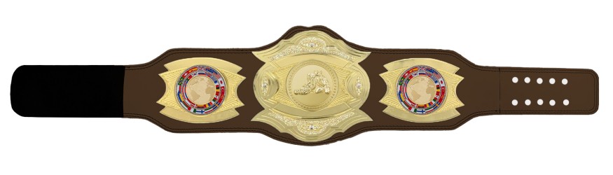 *NEW* PROGEMELITE JIU JITSU CHAMPIONSHIP BELT - PROGEMELITE/G/JJG *NEW* PROGEMELITE JIU JITSU CHAMPIONSHIP BELT - PROGEMELITE/G/JJG